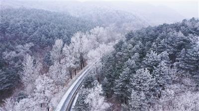 孩子偏科严重怎么办 家长怎样做最正确-探索问题 答案不藏